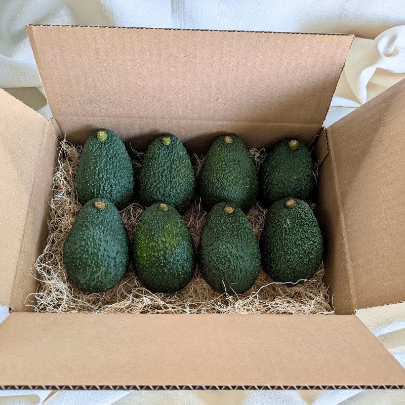 How Long Do Shipped Avocados Last? A Grower’s Honest Answer